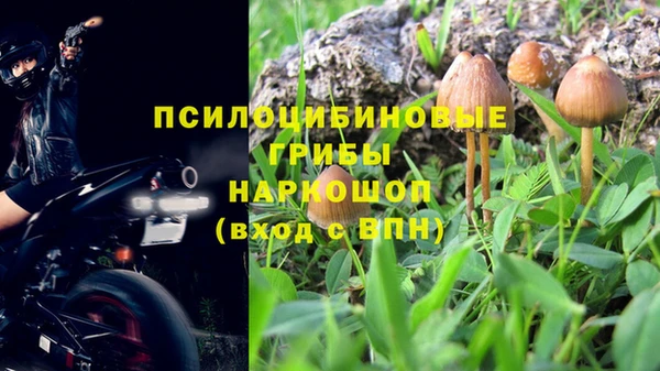 дживик Нея