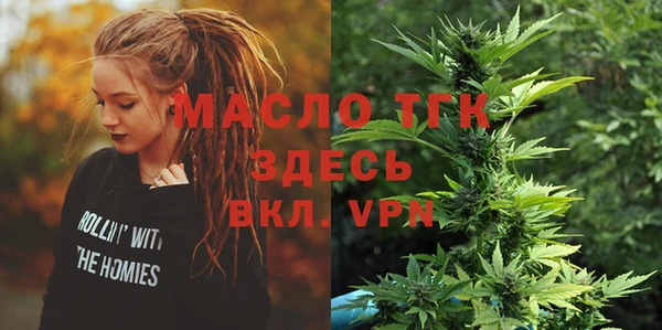 индика Белая Холуница