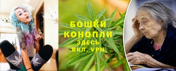 гашик Михайлов