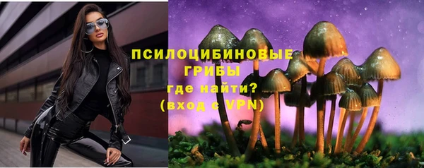 дживик Нея