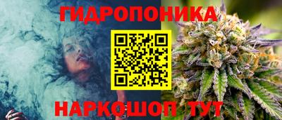 прущая мука Гусев