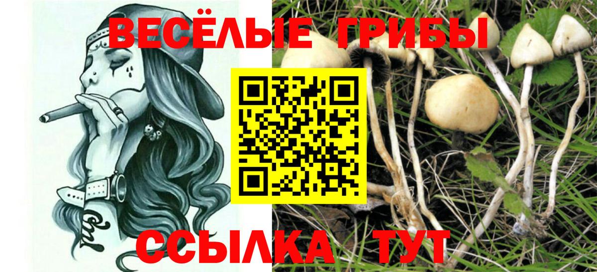 Галлюциногенные грибы Cubensis  Галлюциногенные грибы мухоморы  Вход с VPN  Котельники 
