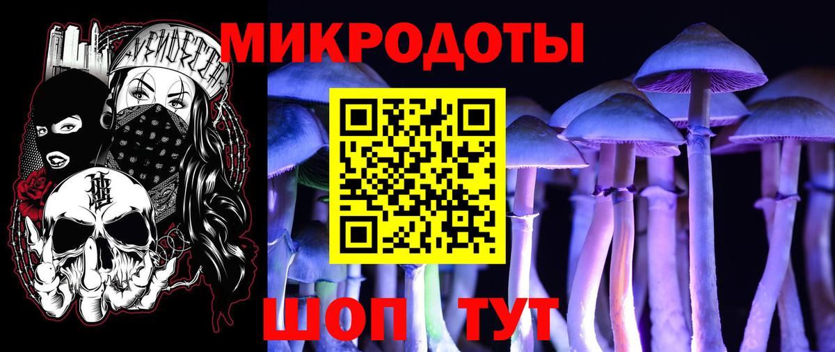 Псилоцибиновые грибы Cubensis Котельники